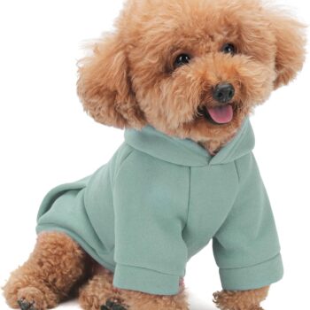 Winter Dog Hoodie with Pockets - Solid Color Polycotton Sweatshirt for Small, Medium, and Large Dogs - Soft, Warm, Cozy Pet Clothing for Cold Weather - Ideal for Outdoor Walks.Cyan Cyan Blue-S